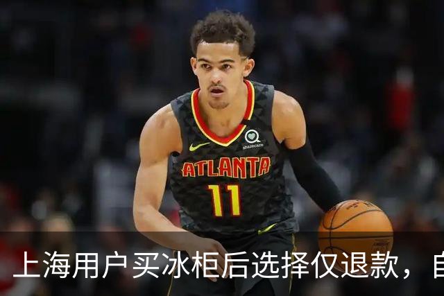 上海用户买冰柜后选择仅退款，自称冰柜"已销毁"无法退货，商家跨省索要后发现冰柜正插电使用，结局亮了