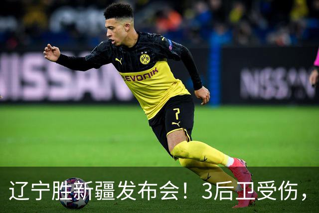 辽宁胜新疆发布会！3后卫受伤，乌戈力挺2将，付豪强调团结和磨合