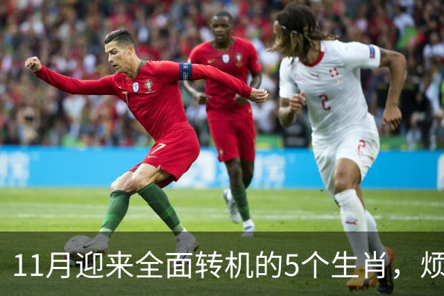 11月迎来全面转机的5个生肖，烦心事慢慢消失，财富爱情接连落地